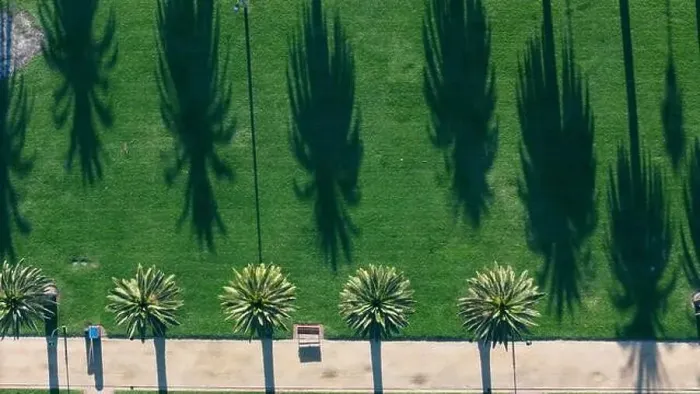 Framed Print : Melbourne Australia. Catani Gardens in St Kilda palm trees casting shadows Framed Print : Melbourne Australia. Catani Gardens in St Kilda palm trees casting shadows