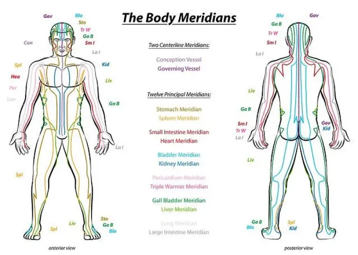 Framed Print : Meridian System Chart - Male body with principal and centerline acupuncture meridians - anterior and posterior view Framed Print : Meridian System Chart - Male body with principal and centerline acupuncture meridians - anterior and posterior view