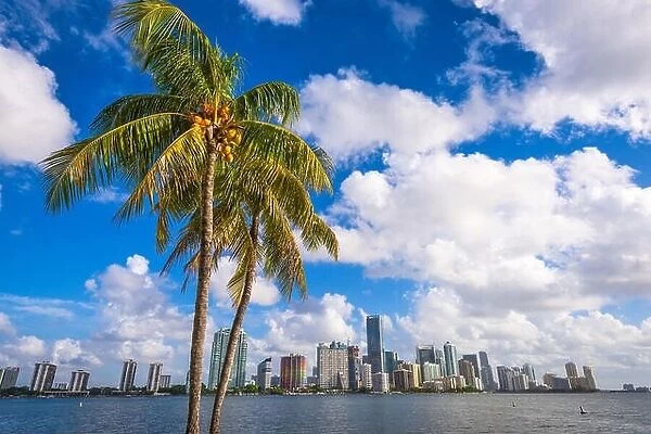 Miami, Florida, USA at Biscayne Bay