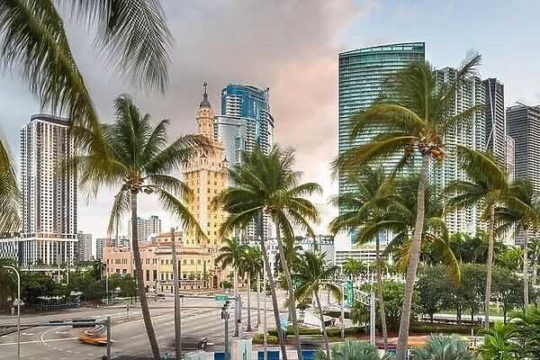 Miami, Florida, USA cityscape in the morning with palm trees