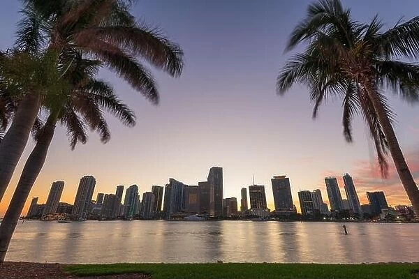 Miami, Florida, USA skyline on Biscayne Bay with palms at dusk