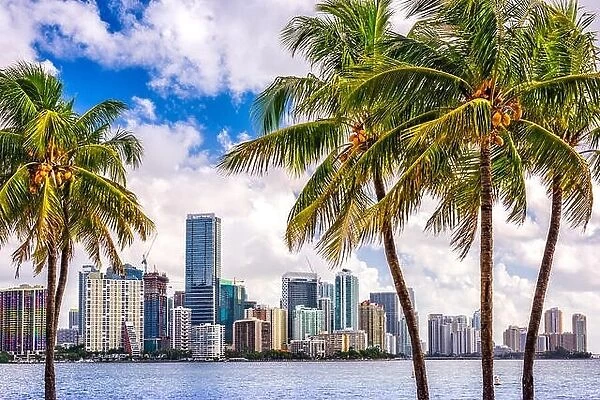 Miami, Florida, USA tropical downtown skyline