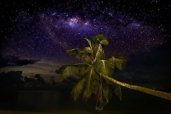 Milky Way over the sandy beach with palm trees, night in summer. Landscape with sea coast, beautiful blue starry sky