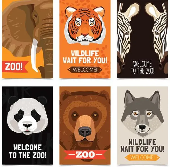Framed Print : Mini posters set with different wild animals heads on each poster and zoo advertising flat vector illustration Framed Print : Mini posters set with different wild animals heads on each poster and zoo advertising flat vector illustration
