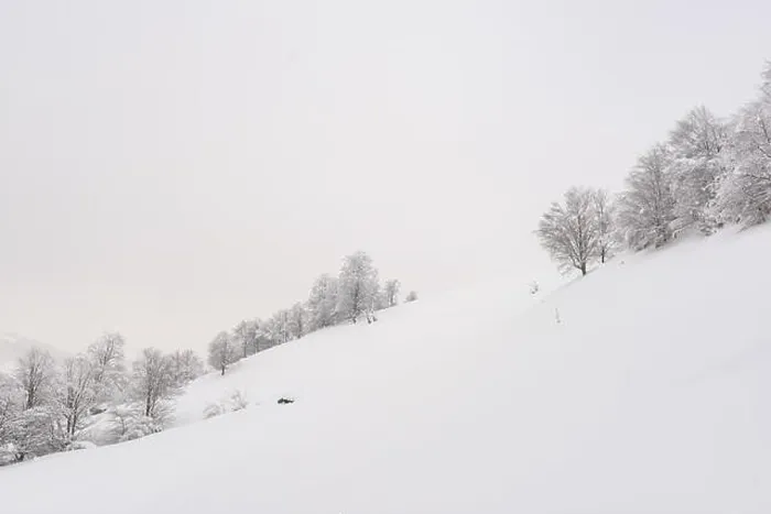 Framed Print : Minimalistic winter landscape in cloudy weather with snowy trees. Carpathian mountains, Landscape photography Framed Print : Minimalistic winter landscape in cloudy weather with snowy trees. Carpathian mountains, Landscape photography