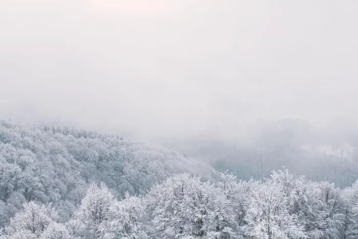 Framed Print : Minimalistic winter landscape in cloudy weather with snowy trees. Carpathian mountains, Landscape photography Framed Print : Minimalistic winter landscape in cloudy weather with snowy trees. Carpathian mountains, Landscape photography
