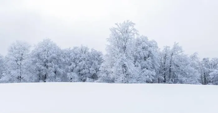 Framed Print : Minimalistic winter landscape in cloudy weather with snowy trees. Carpathian mountains, Landscape photography Framed Print : Minimalistic winter landscape in cloudy weather with snowy trees. Carpathian mountains, Landscape photography