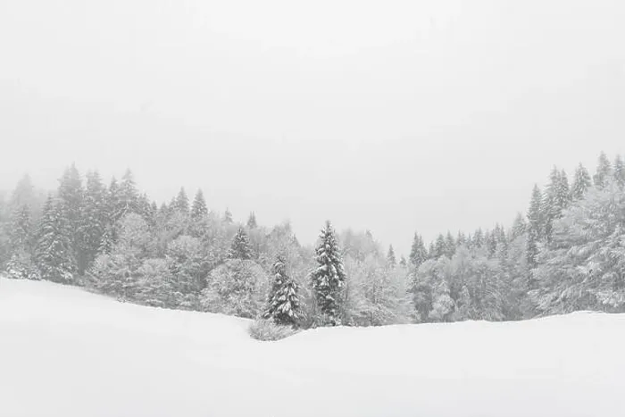 Framed Print : Minimalistic winter landscape in cloudy weather with snowy trees. Carpathian mountains, Landscape photography Framed Print : Minimalistic winter landscape in cloudy weather with snowy trees. Carpathian mountains, Landscape photography