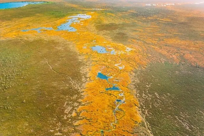 Framed Print : Miory District, Vitebsk Region, Belarus. The Yelnya Swamp. Upland And Transitional Bogs With Numerous Lakes. Elevated Aerial View Of Yelnya Nature Framed Print : Miory District, Vitebsk Region, Belarus. The Yelnya Swamp. Upland And Transitional Bogs With Numerous Lakes. Elevated Aerial View Of Yelnya Nature