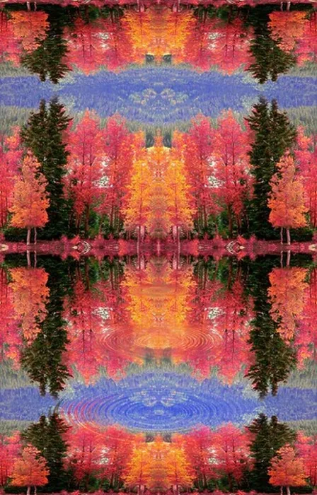 Framed Print : Mirror of Autumn Surreal photo-digital illustration Framed Print : Mirror of Autumn Surreal photo-digital illustration