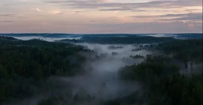 Framed Print : Mist over a forest during suset Framed Print : Mist over a forest during suset