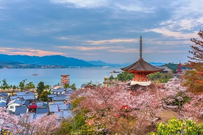Framed Print : Miyajima Island, Hiroshima, Japan in spring at dusk Framed Print : Miyajima Island, Hiroshima, Japan in spring at dusk