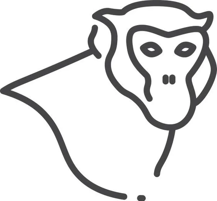 Framed Print : Monkey head linear portrait. Jungle animal icon