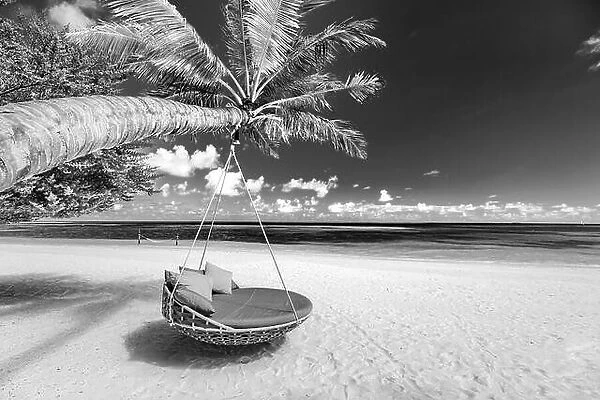 Monochrome tropical beach as summer landscape with beach swing or hammock and white sand calm sea black beach banner. Perfect beach scene vacation