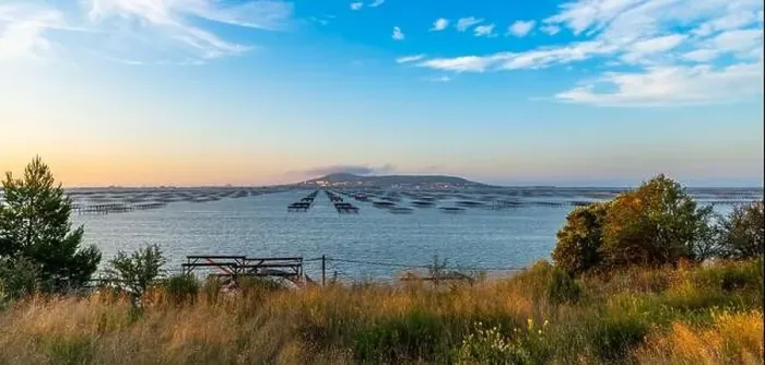 Framed Print : Mont Saint Clair and the Etang de Thau at sunrise, with its oyster tables in Hérault, Occitanie, France Framed Print : Mont Saint Clair and the Etang de Thau at sunrise, with its oyster tables in Hérault, Occitanie, France