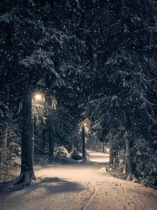Framed Print : Moody landscape with snow path and light at winter evening in Finland Framed Print : Moody landscape with snow path and light at winter evening in Finland