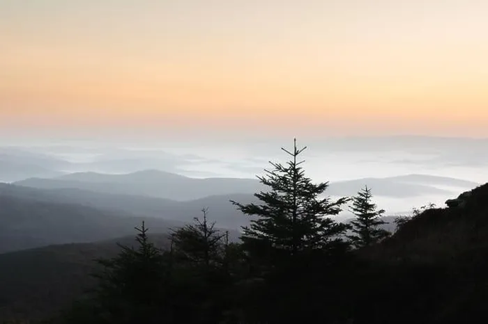 Framed Print : Morning fog in autumn mountains. Fir trees silhouettes on foreground. Beautiful sunrise on background. Landscape photography Framed Print : Morning fog in autumn mountains. Fir trees silhouettes on foreground. Beautiful sunrise on background. Landscape photography