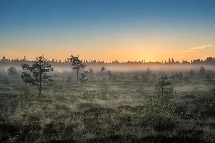 Framed Print : Morning fog and sunrise in Torronsuo National Park, Finland Framed Print : Morning fog and sunrise in Torronsuo National Park, Finland