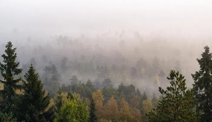 Framed Print : Morning fog and woodland landscape in Torronsuo National Park, Finland Framed Print : Morning fog and woodland landscape in Torronsuo National Park, Finland