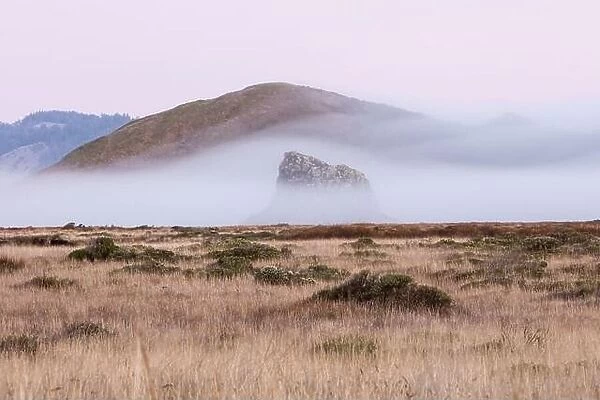 Morning mist flows over the rugged landscape of northern California in Sonoma. This scenic region is often covered by a thick marine layer of mist