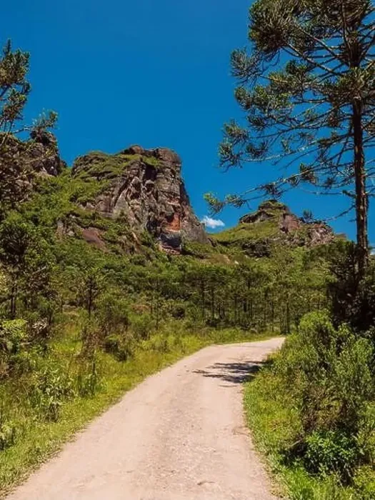 Framed Print : Morro dos Cabritos canyon with trees, rock and road in Santa Catarina, Brazil Framed Print : Morro dos Cabritos canyon with trees, rock and road in Santa Catarina, Brazil