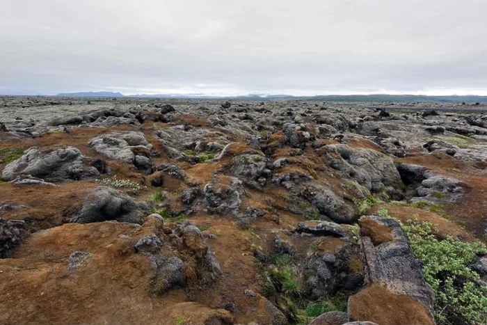 Framed Print : Moss field in Iceland Framed Print : Moss field in Iceland