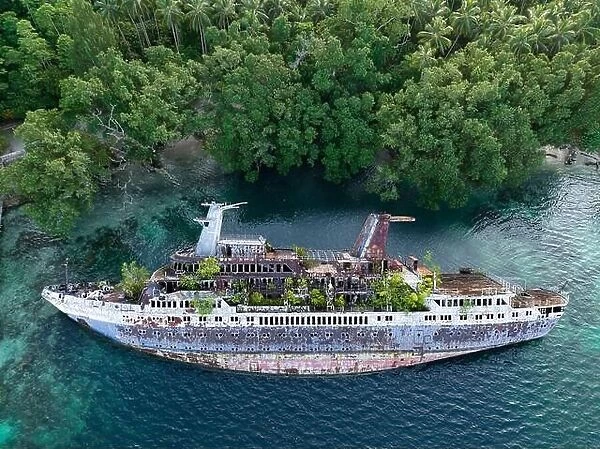 Mother Nature is slowly reclaiming the World Discoverer, a cruise ship that was shipwrecked in the Solomon Islands. The ship struck a reef in 2000