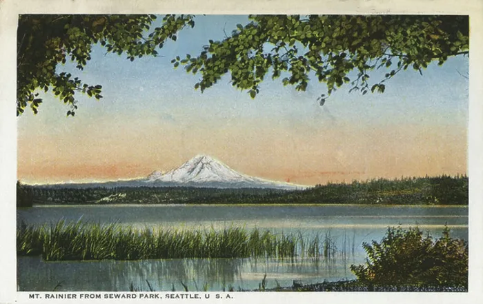 Framed Print : Mount Rainier from Seward Park, Seattle, Washington, USA, 1916 Framed Print : Mount Rainier from Seward Park, Seattle, Washington, USA, 1916