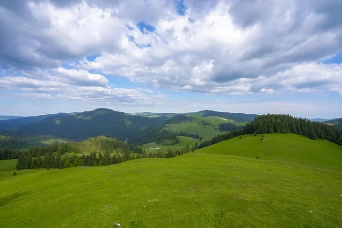 Framed Print : Mountain Apuseni Zona Padis Romania on the peak Framed Print : Mountain Apuseni Zona Padis Romania on the peak