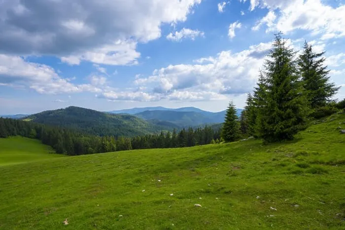 Framed Print : Mountain Apuseni Zona Padis Romania on the peak Framed Print : Mountain Apuseni Zona Padis Romania on the peak