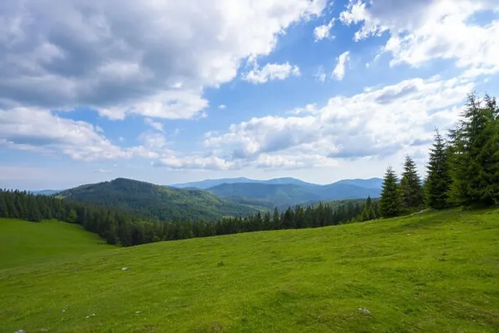 Framed Print : Mountain Apuseni Zona Padis Romania on the peak Framed Print : Mountain Apuseni Zona Padis Romania on the peak