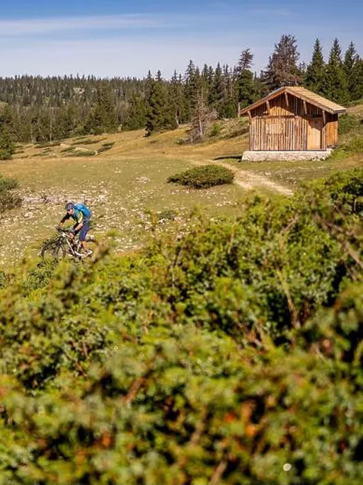 Framed Print : Mountain bikers on tour through the Hauts-Plateaux du Vercors nature reserve, Auvergne-Rhône-Alpes department Framed Print : Mountain bikers on tour through the Hauts-Plateaux du Vercors nature reserve, Auvergne-Rhône-Alpes department