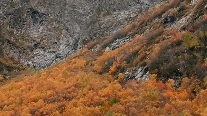 Framed Print : Mountain cliffs above autumn forest Framed Print : Mountain cliffs above autumn forest