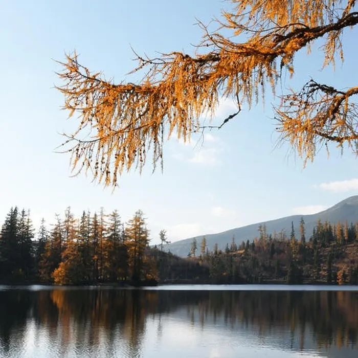 Framed Print : Mountain lake Strbske pleso (Strbske lake) in autumn time. High Tatras national park, Slovakia Framed Print : Mountain lake Strbske pleso (Strbske lake) in autumn time. High Tatras national park, Slovakia