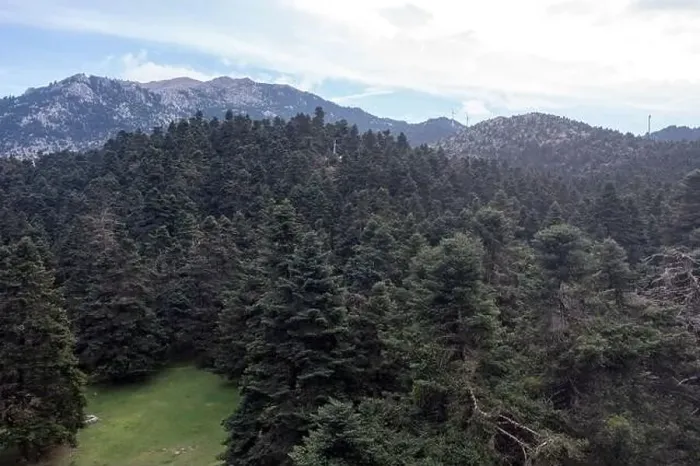 Framed Print : Mountain landscape, fir ttrees forest and cloudy sky. Parnassos mountain aerial drone view. Greece, Boeotia Framed Print : Mountain landscape, fir ttrees forest and cloudy sky. Parnassos mountain aerial drone view. Greece, Boeotia