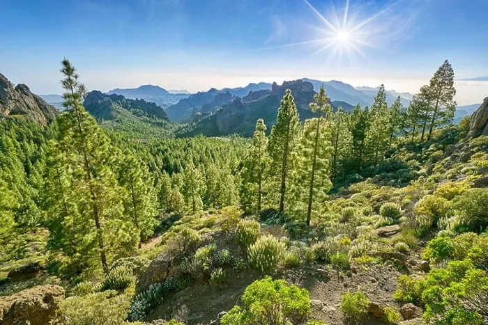 Framed Print : Mountain landscape on the way to Roque Nublo, Gran Canaria, Spain Framed Print : Mountain landscape on the way to Roque Nublo, Gran Canaria, Spain