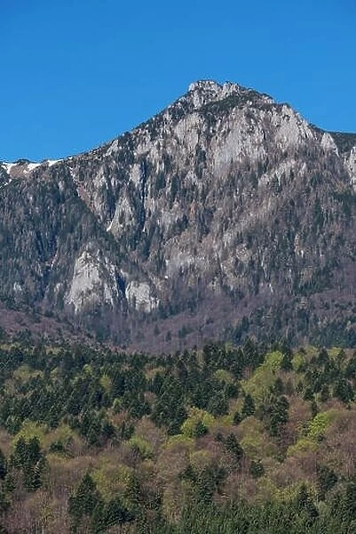 Mountain peak between green forest at the bottom and blue sky on top