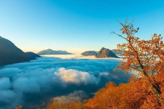 Framed Print : Mountain Peak San Salvatore Above Cloudscape with a Autumn Tree and Sunlight with Clear Sky in Lugano Framed Print : Mountain Peak San Salvatore Above Cloudscape with a Autumn Tree and Sunlight with Clear Sky in Lugano