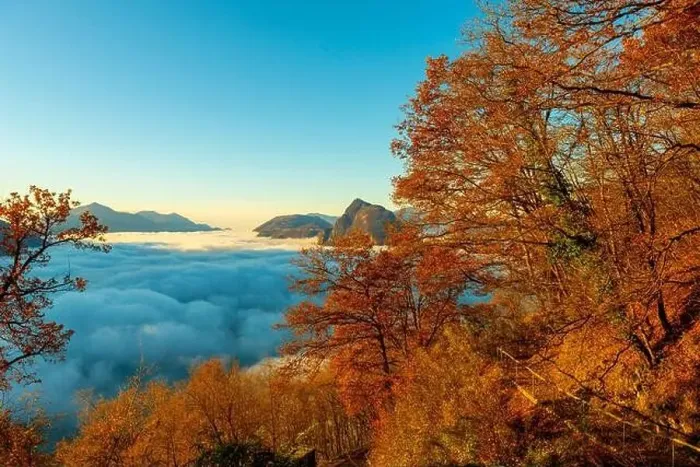 Framed Print : Mountain Peak San Salvatore Above Cloudscape with a Autumn Tree and Sunlight with Clear Sky in Lugano Framed Print : Mountain Peak San Salvatore Above Cloudscape with a Autumn Tree and Sunlight with Clear Sky in Lugano