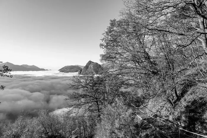 Framed Print : Mountain Peak San Salvatore Above Cloudscape with a Autumn Tree and Sunlight with Clear Sky in Lugano Framed Print : Mountain Peak San Salvatore Above Cloudscape with a Autumn Tree and Sunlight with Clear Sky in Lugano