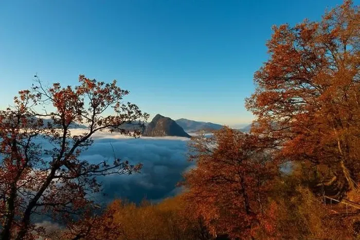 Framed Print : Mountain Peak San Salvatore Above Cloudscape with a Autumn Tree and Sunlight with Clear Sky in Lugano Framed Print : Mountain Peak San Salvatore Above Cloudscape with a Autumn Tree and Sunlight with Clear Sky in Lugano