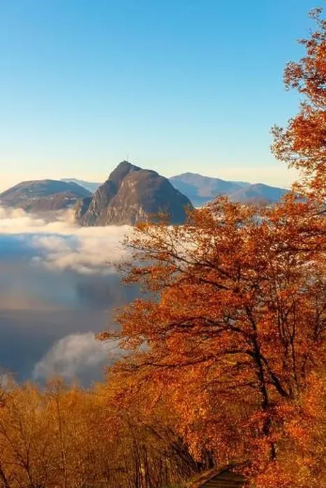 Framed Print : Mountain Peak San Salvatore Above Cloudscape with a Autumn Tree and Sunlight with Clear Sky in Lugano Framed Print : Mountain Peak San Salvatore Above Cloudscape with a Autumn Tree and Sunlight with Clear Sky in Lugano