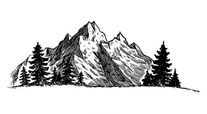 Framed Print : Mountain with pine trees and landscape black on white background Framed Print : Mountain with pine trees and landscape black on white background