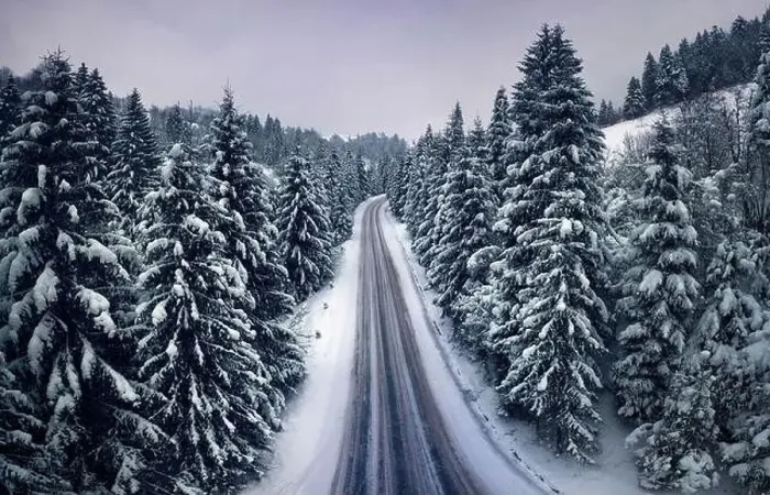Framed Print : Mountain road in the winter forest. Dolomites Alps Italy Framed Print : Mountain road in the winter forest. Dolomites Alps Italy