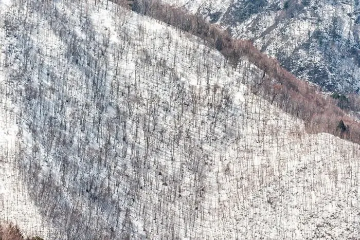 Framed Print : Mountain white snow in Okuhida villages in Gifu Prefecture, Japan park with many bare trees forest Framed Print : Mountain white snow in Okuhida villages in Gifu Prefecture, Japan park with many bare trees forest