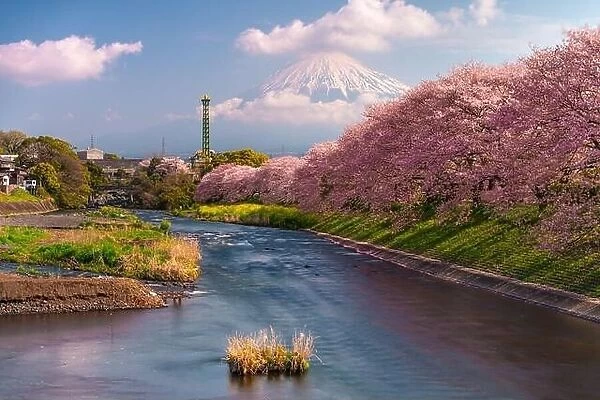 Mt. Fuji, Japan spring landscape and river