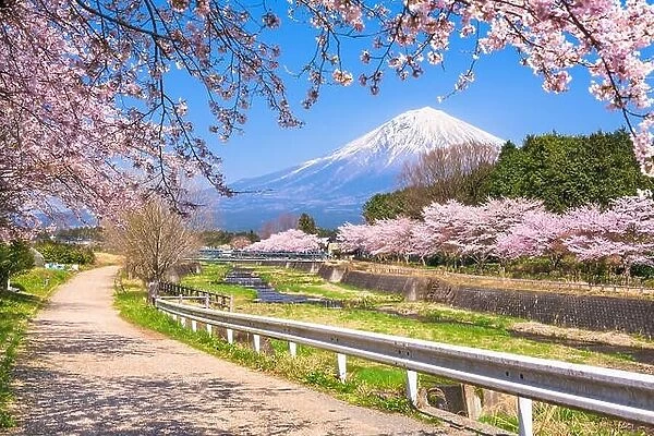 Mt. Fuji viewed from rural Shizuoka Prefecture in spring season