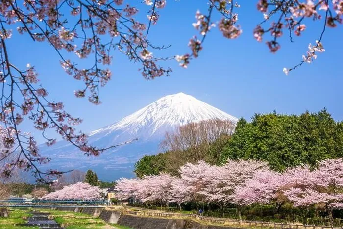 Framed Print : Mt. Fuji viewed from rural Shizuoka Prefecture in spring season