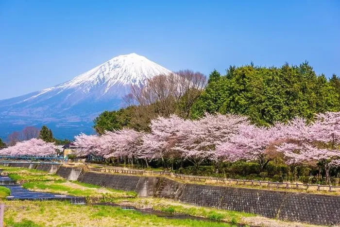 Framed Print : Mt. Fuji viewed from rural Shizuoka Prefecture in spring season Framed Print : Mt. Fuji viewed from rural Shizuoka Prefecture in spring season