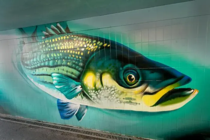 Framed Print : A mural of pike-like fish painted in the hibiscus walk subway Porthcawl, UK Framed Print : A mural of pike-like fish painted in the hibiscus walk subway Porthcawl, UK